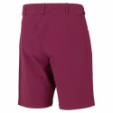 Жіночі велосипедні штани ZIENER-PIRKA X-FUNCTION lady (shorts) - thumbnail 2