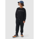 Хлопчачі утеплені штани 4F JUNIOR-TROUSERS-JWAW24TTROM761-20S-DEEP BLACK - thumbnail 2