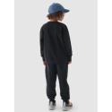 Хлопчачі утеплені штани 4F JUNIOR-TROUSERS-JWAW24TTROM761-20S-DEEP BLACK - thumbnail 4