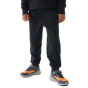 Хлопчачі утеплені штани 4F JUNIOR-TROUSERS-JWAW24TTROM761-20S-DEEP BLACK - thumbnail 1