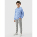 Хлопчача толстовка з капюшоном 4F JUNIOR-SWEATSHIRT M2325-33S-BLUE - thumbnail 3