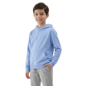 Хлопчача толстовка з капюшоном 4F JUNIOR-SWEATSHIRT M2325-33S-BLUE - thumbnail 1
