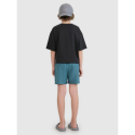 Хлопчачі плавки 4F JUNIOR-BOARD SHORTS TEAL - thumbnail 5