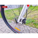 Юніорський гірський велосипед AMULET-29 Youngster 1.11 SH, alu brushed transparent/red - 