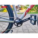 Юніорський гірський велосипед AMULET-29 Youngster 1.11 SH, alu brushed transparent/red - 